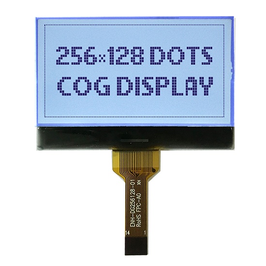 256 x 128 graphic lcd module manufacturer