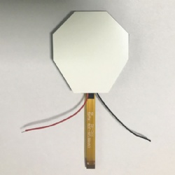 Octagon Segment LCD for Message Device