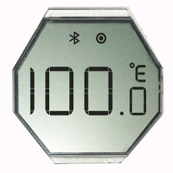 Polygon Reflective Segment LCD Display