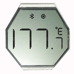 Polygon Reflective Segment LCD Display